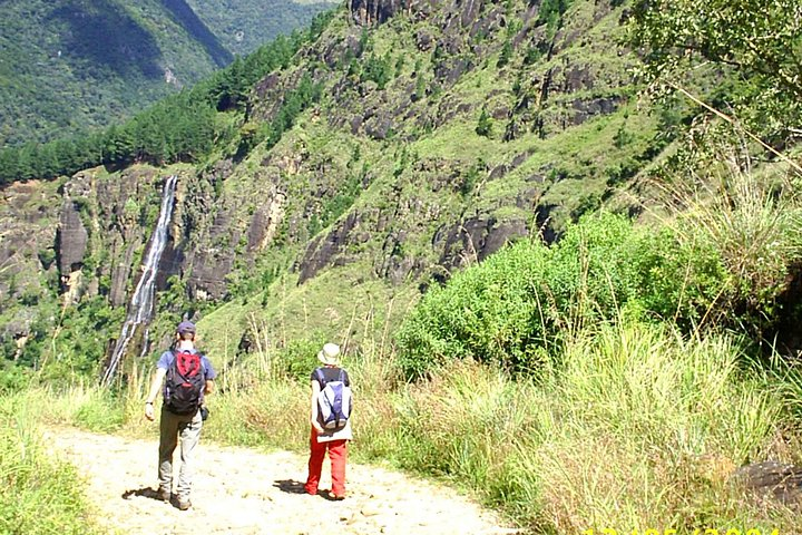 3,Days Trekking Through the Misty Mountain & Horton Plaine from Ella,Haputale  - Photo 1 of 25